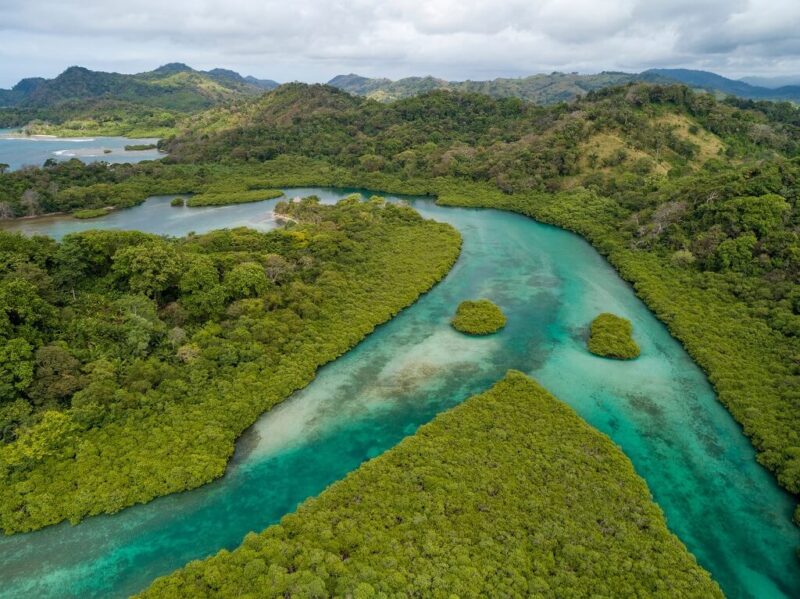 Aerial view of tropical river winding through dense green rainforest in Panama
